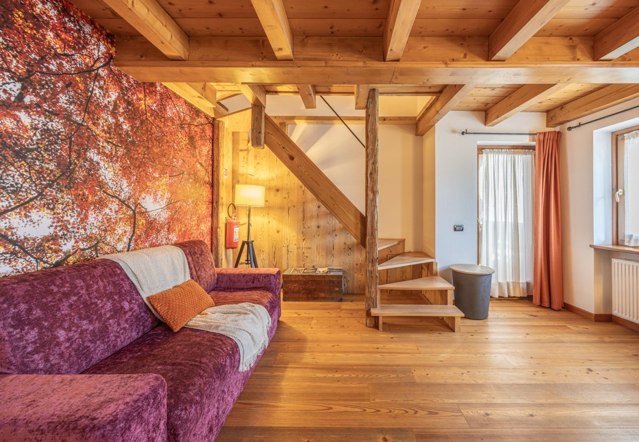 Ferienwohnung in Vodo Cadore - Ciandolada 3 Wellness