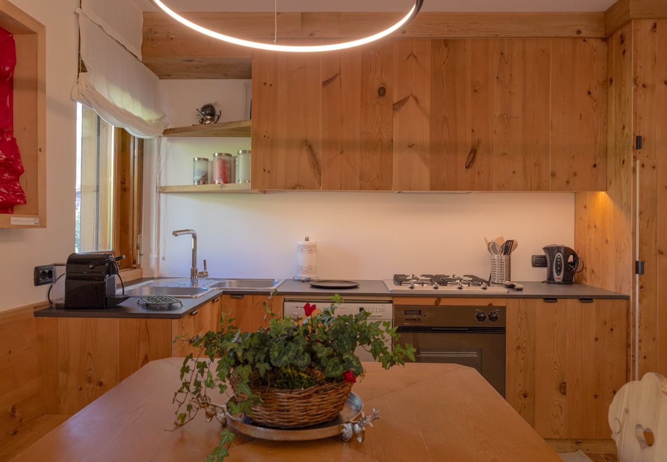 Ferienwohnung in Cortina d´Ampezzo - Casa Betulla in Cortina d'Ampezzo