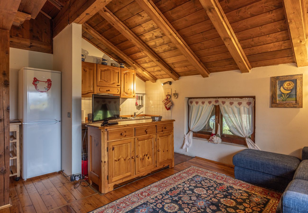 Ferienwohnung in San Vito di Cadore - Casa Mary, Panorama-Dachgeschoss in S. Vito di Cadore