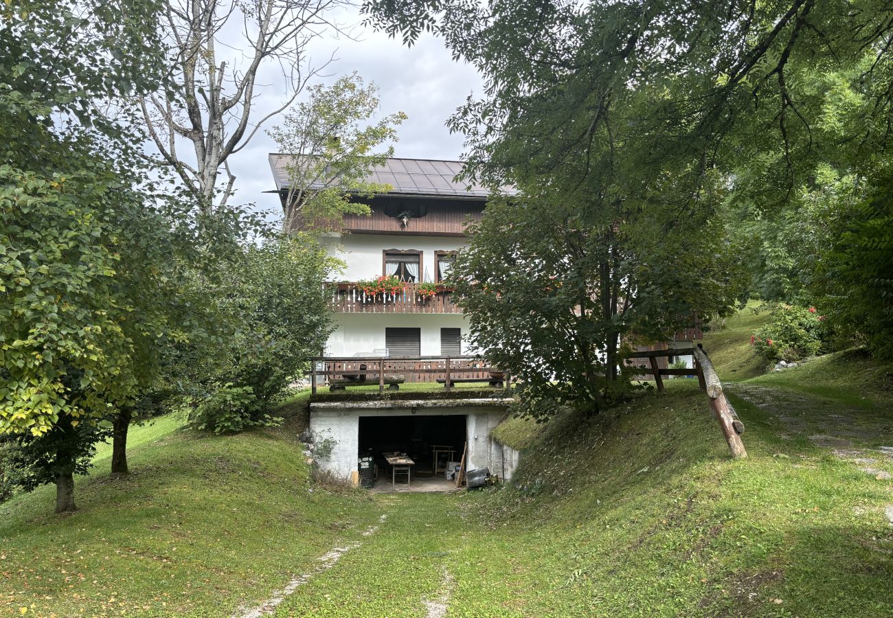 Ferienwohnung in San Vito di Cadore - Casa Mary, Panorama-Dachgeschoss in S. Vito di Cadore