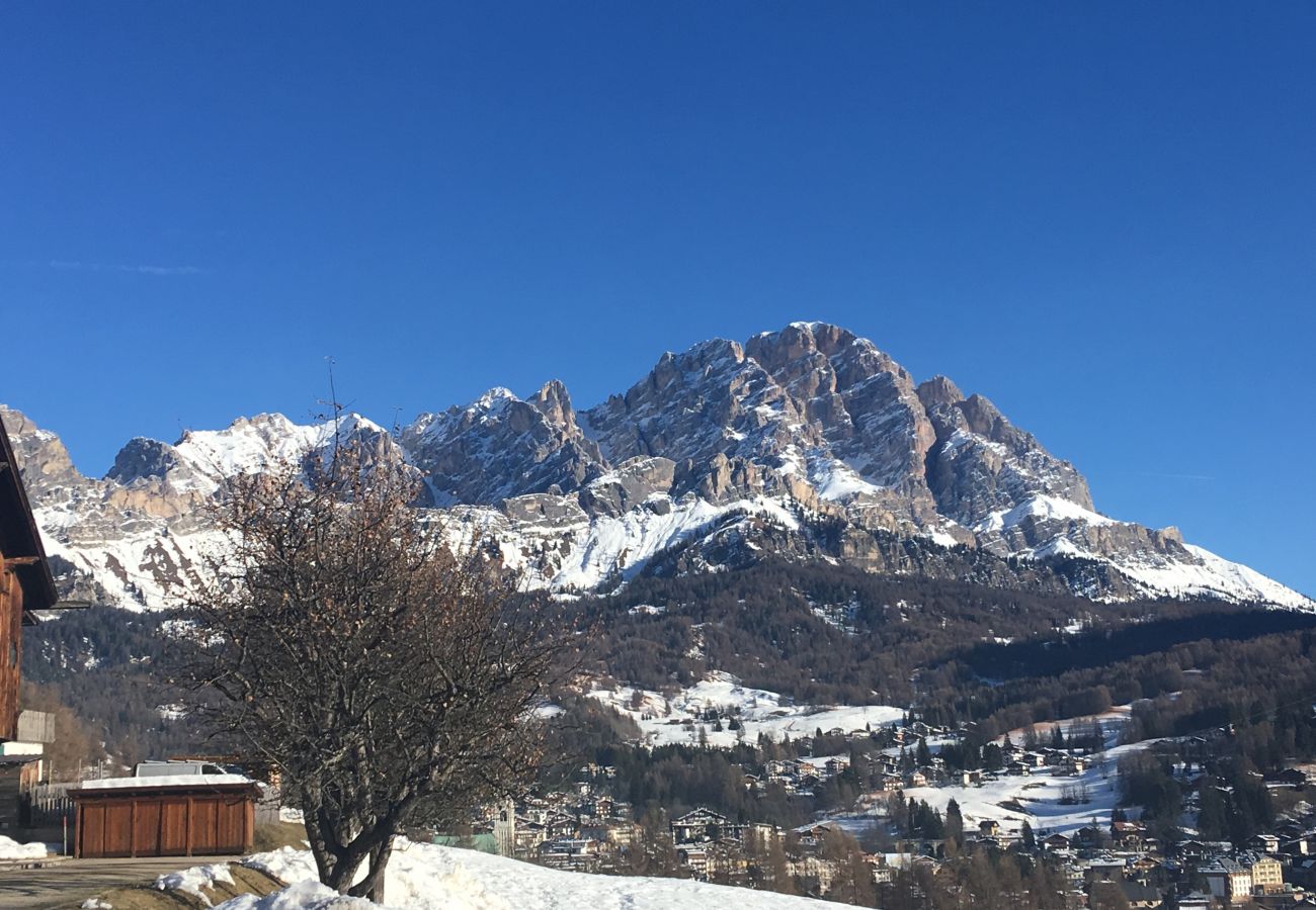 Apartment in Cortina d´Ampezzo - Ca' Marmotta