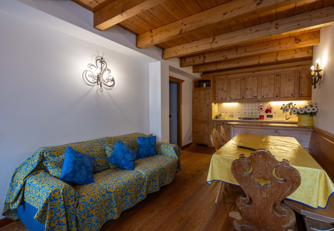 Apartment in Vodo Cadore - Ciandolada 7, big and comfortable apartment