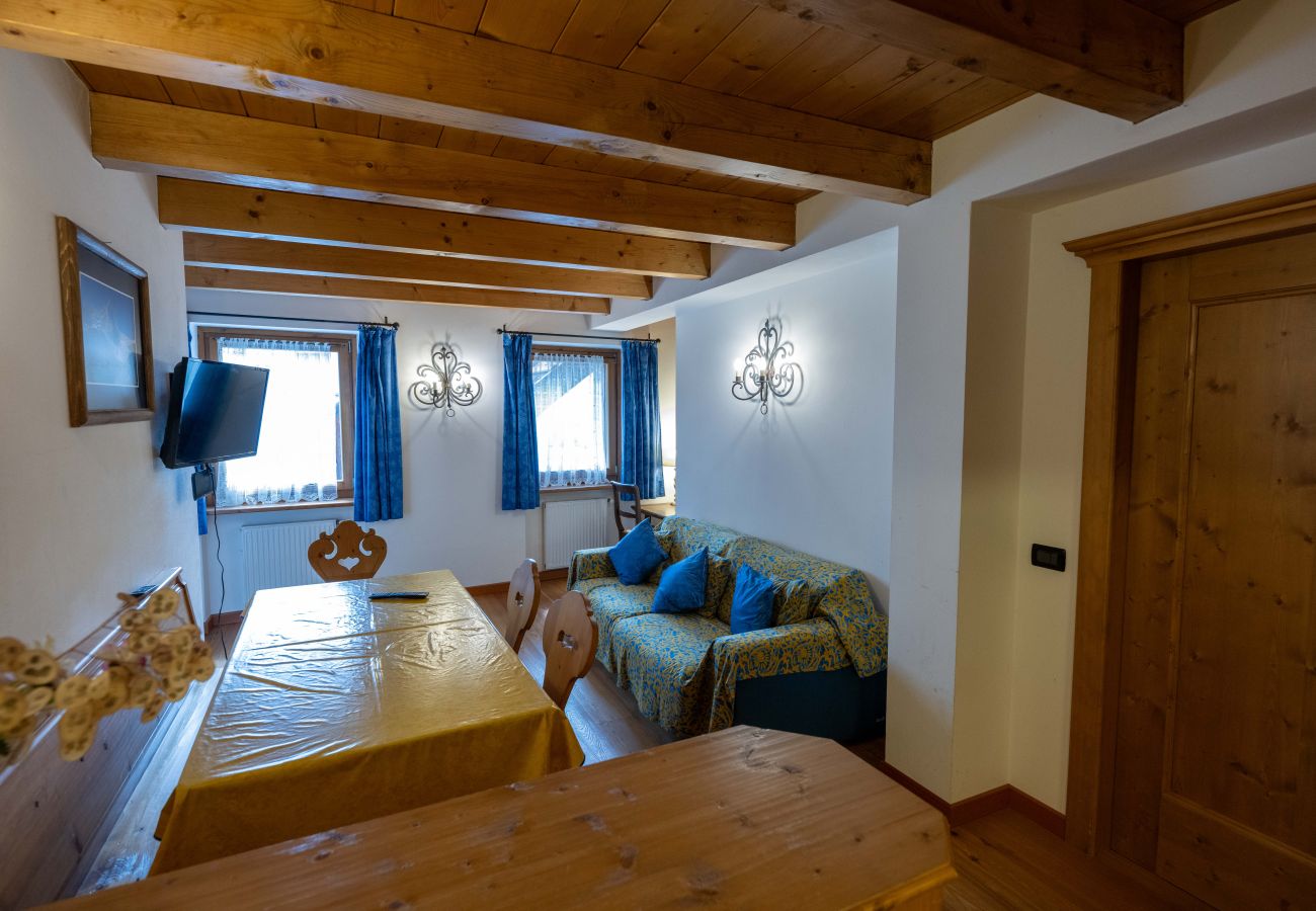 Apartment in Vodo Cadore - Ciandolada 7, big and comfortable apartment