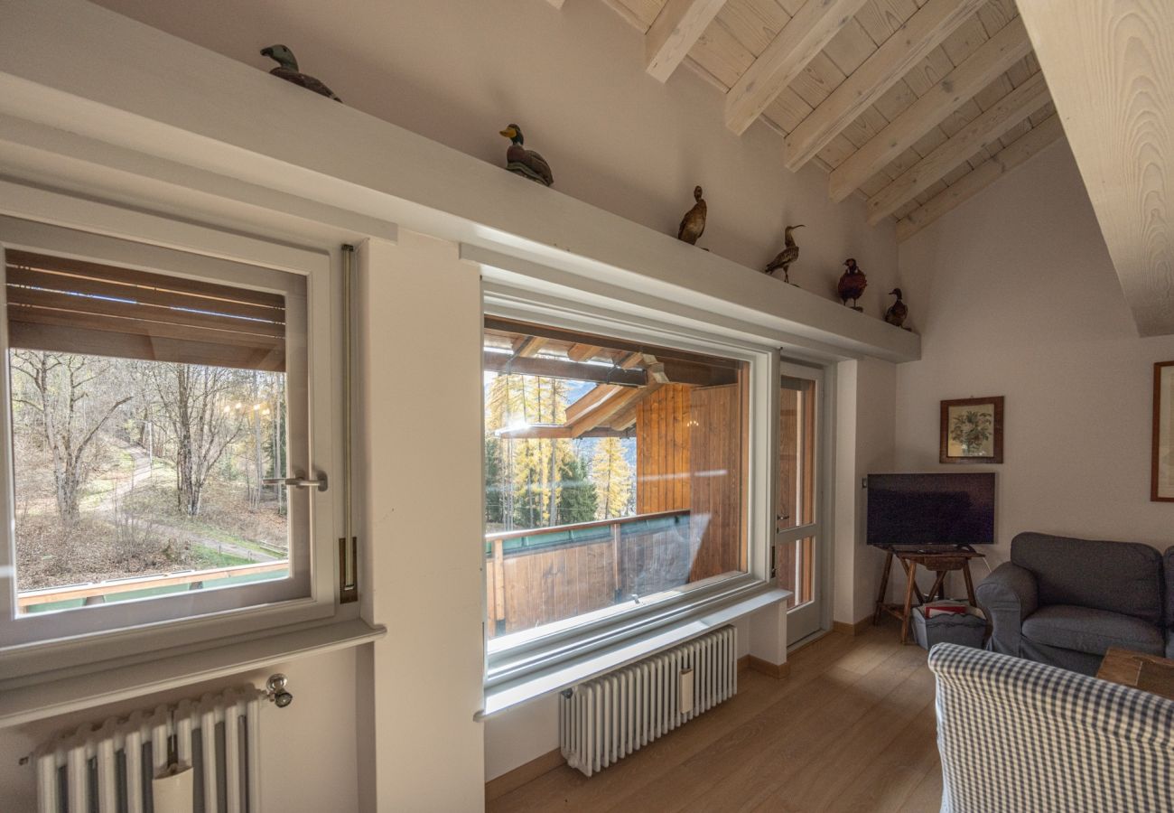 Apartment in Cortina d´Ampezzo - Casa Funivia, Casa Funivia, close to the center and the cableway