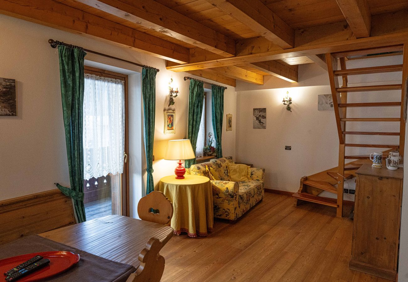 Apartment in Vodo Cadore - Ciandolada 4, comfortable mountain Apartment