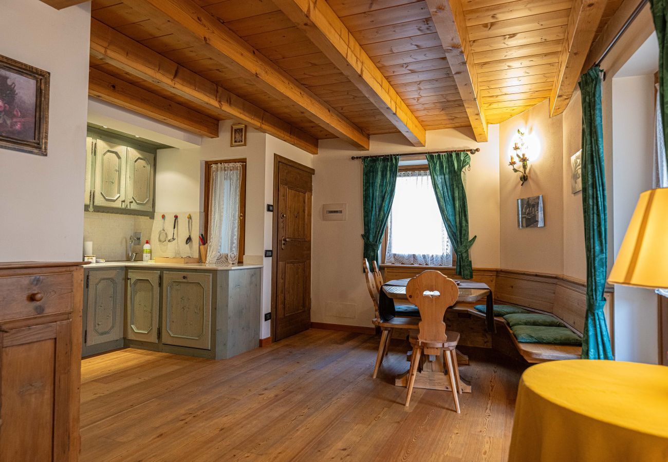 Apartment in Vodo Cadore - Ciandolada 4, comfortable mountain Apartment